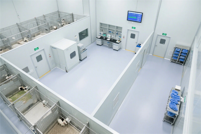 4000平合肥动物研究实验室建设方案分享